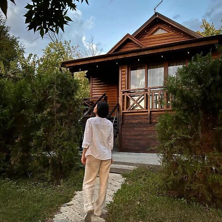 Poiana Bradului Complex Hotelier & Restaurant Colonita Zewnętrze zdjęcie